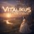 Обложка ViTaLiKuS - Я помню чудное мгновенье...