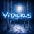 Обложка ViTaLiKuS - Первый снег