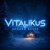 Обложка ViTaLiKuS - Зимний вечер