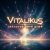 Обложка ViTaLiKuS - Звёздные нити души