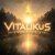 Обложка ViTaLiKuS - Другого в мире счастья нет...