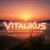 Обложка ViTaLiKuS - Заря прощается с землёю…