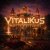 Обложка ViTaLiKuS - Видел славный я дворец