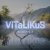 Обкладинка ViTaLiKuS - Веточка