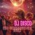 Обкладинка DJ Disco - Ein gebrochenes Herz