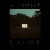 Pochette Kovacs - A Perfect Crime