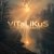 Обложка ViTaLiKuS - Безглагольность