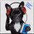 Cover Dj Bobojon - A Dog's Perspective