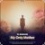 Cover Dj Bobojon - My Only Mother