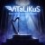 Обкладинка ViTaLiKuS - Когда с тобой сроднилось вдохновенье...