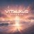 Cover ViTaLiKuS - Надежда