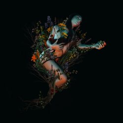 Обложка Roniit - Bloom