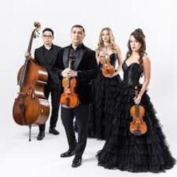Обложка The String Quartet - Money