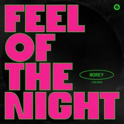 Обложка Borey - Feel Of The Night