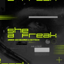 Обложка Armin van Buuren & Skytech - She A Freak