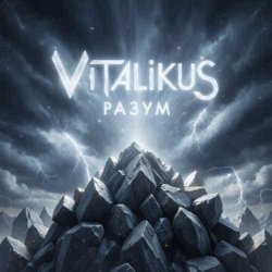 Обложка ViTaLiKuS - Разум