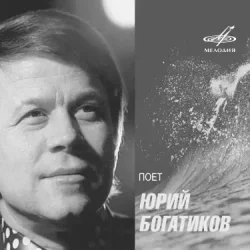 Обложка Юрий Богатиков - Лизавета