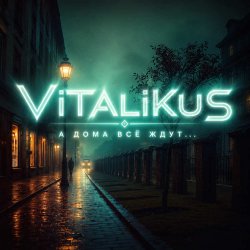 Обложка ViTaLiKuS - А дома всё ждут...