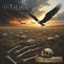 Обложка ViTaLiKuS - Поле мёртвыми костями