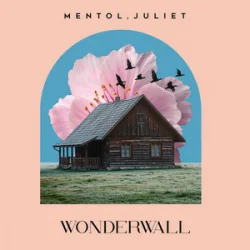 Обложка Mentol & Juliet - Wonderwall