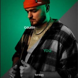 Обложка Gaullin & TRFN - FAR