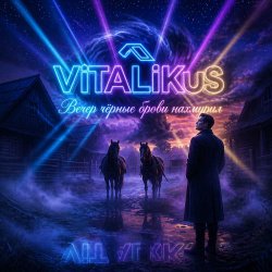 Обложка ViTaLiKuS - Вечер чёрные брови нахмурил…