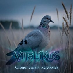 Обложка ViTaLiKuS - Стонет сизый голубочек