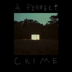 Обложка Kovacs - A Perfect Crime