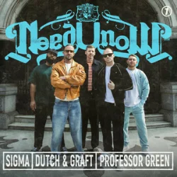 Обложка Sigma & Dutch & Graft & Professor Green - NEED U NOW