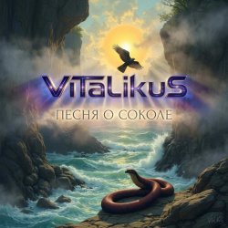 Обложка ViTaLiKuS - Песня о Соколе