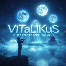 Pochette ViTaLiKuS - Сияет яркая полночная луна…