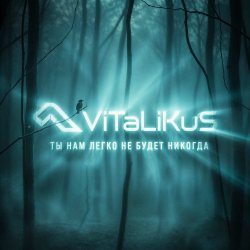 Pochette ViTaLiKuS - Нам легко не будет никогда