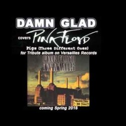 Обложка DAMN GLAD - Pigs