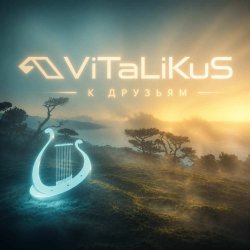 Обложка ViTaLiKuS - К друзьям