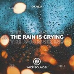 Обложка DJ JEDY - The Rain Is Crying