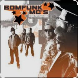 Обкладинка Bomfunk MC's - Foxy Lady
