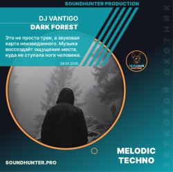 Обложка DJ VANTIGO - Dark Forest