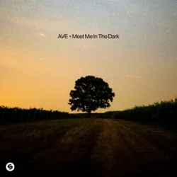 Обложка AVE - Meet Me In The Dark