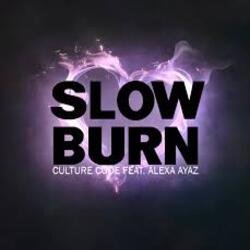 Обложка NEIMXX - Slow Burn