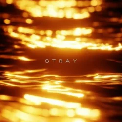 Обложка R3DN1K - Stray