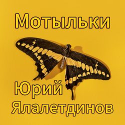 Обложка Юрий Ялалетдинов - Мотыльки