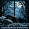 Обложка zaevsergey - Не буди её (T Vocals : special version) zaevsergey - Не буди её (T Vocals : special version)