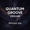 Обложка Vexlum - Quantum Groove 028 Vexlum - Quantum Groove 028
