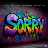 Cover DJ Wout x Jan Vervloet x Pulsedriver - I'm Sorry DJ Wout x Jan Vervloet x Pulsedriver - I'm Sorry