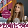 Обложка CjVitoS, Борис Бредин, Маруся - Виноградный экспресс 2.0 CjVitoS, Борис Бредин, Маруся - Виноградный экспресс 2.0