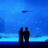 Обложка Mattyeux & Princess Chelsea & Vieoclub - Sometimes Mattyeux & Princess Chelsea & Vieoclub - Sometimes