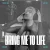 Обложка Rain Paris - Bring Me To Life
