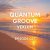 Обложка Vexlum - Quantum Groove 027