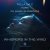 Обкладинка Talla 2XLC x York x DJ Sakin & Friends - Whispers In The Wind