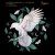 Обложка Eleonora, Flowers on Monday - What If I Told You (Extended Mix)